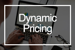 :Dynamic Pricing